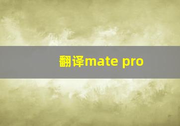 翻译mate pro